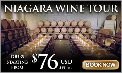 wine tour niagara packages